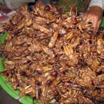 Deep-fried crickets.