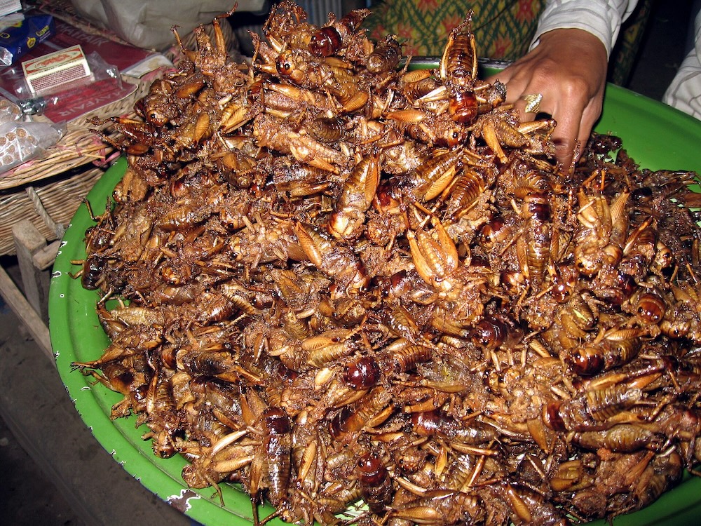 Deep-fried crickets. 