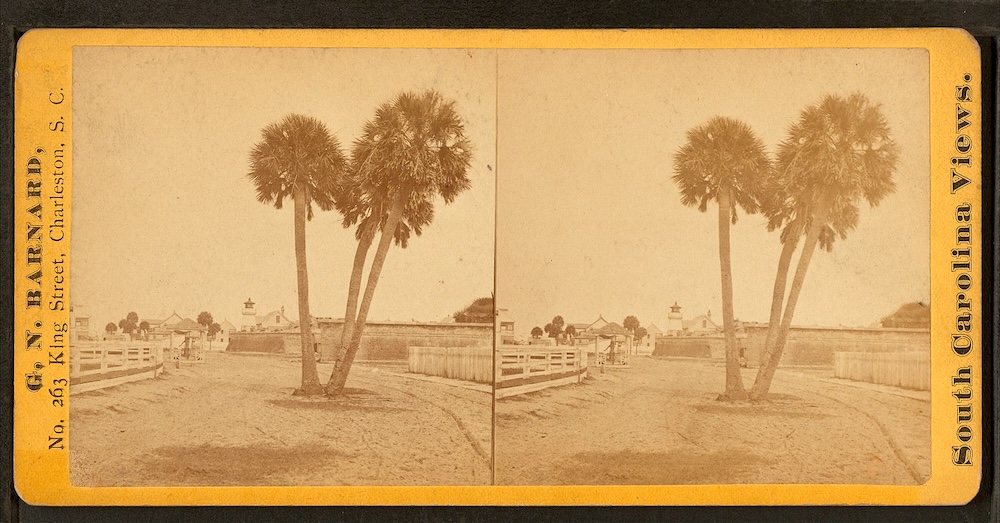 Group of palmetto trees, near Fort Moultrie, Sullivan's Island, SC. (Photo: George N. Barnard, 1819-1902. Source: Wikimedia Commons.)