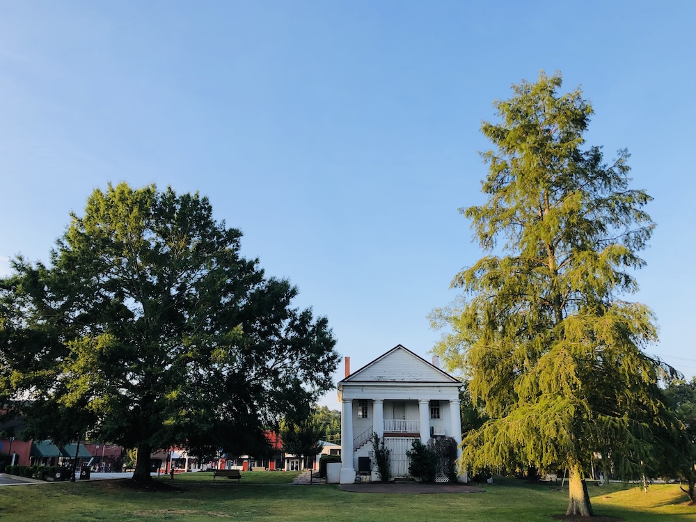 Pendleton Gallery of Trees II: Before Milton. (Photo: Elizabeth Boleman-Herring.)