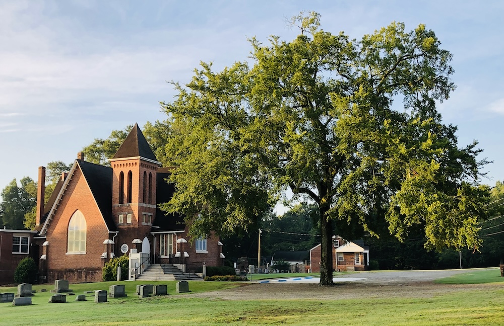 Pendleton Gallery of Trees V: Before Milton. (Photo: Elizabeth Boleman-Herring.)